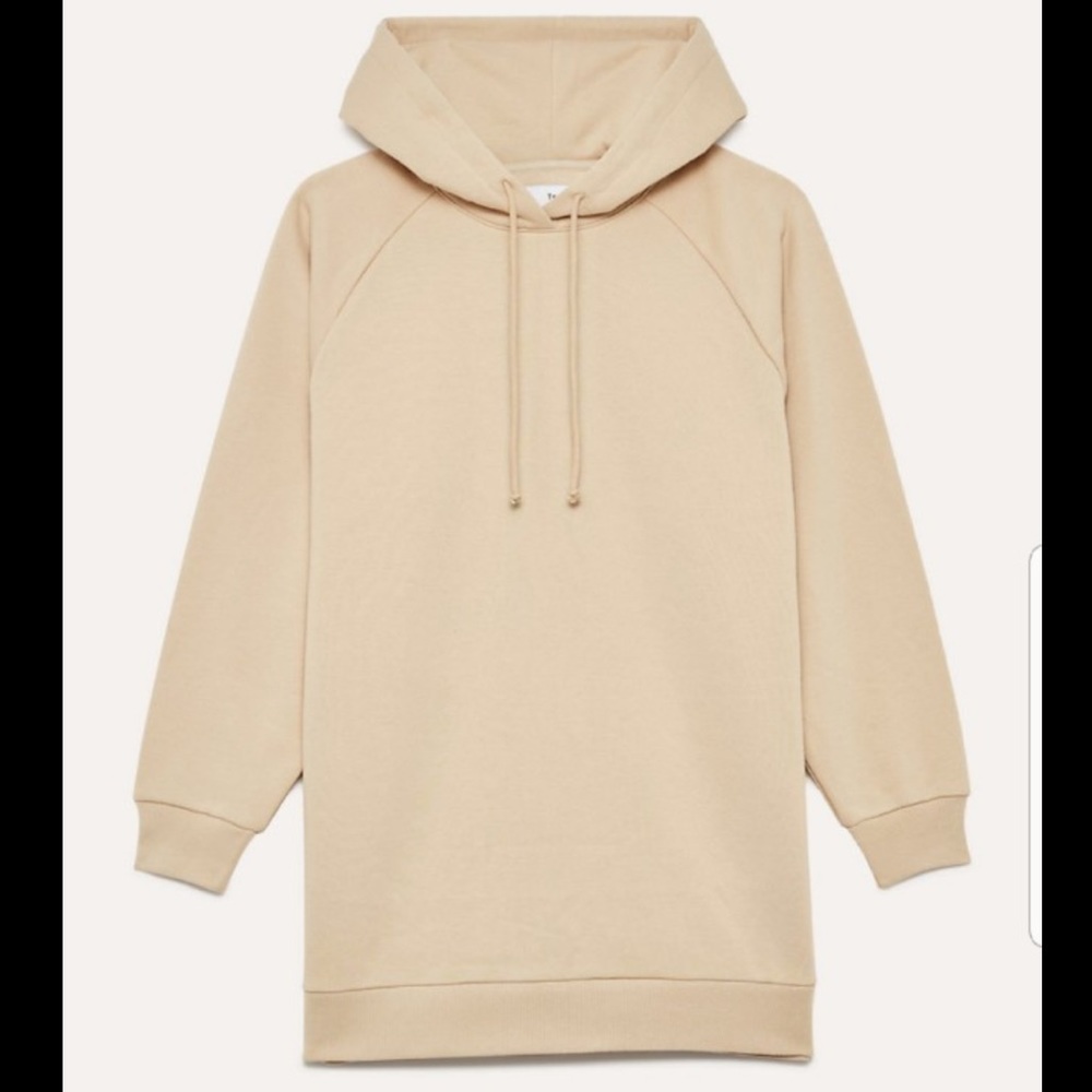 Aritzia Venta Dress (TNA)